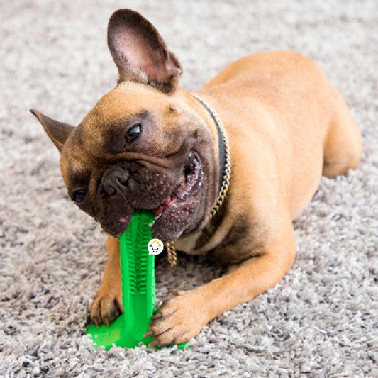 Cepillo de dientes para perro